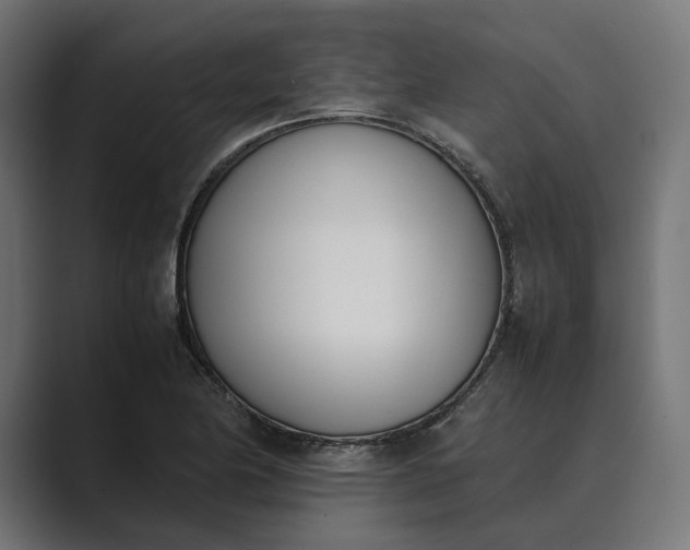 X0000089401174200706291402