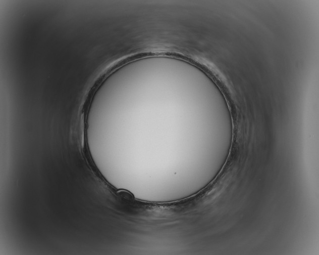 X0000089401175200706291402