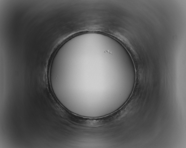 X0000089401176200706291402