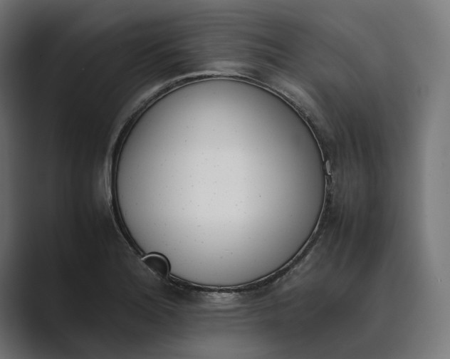 X0000089401180200706291402