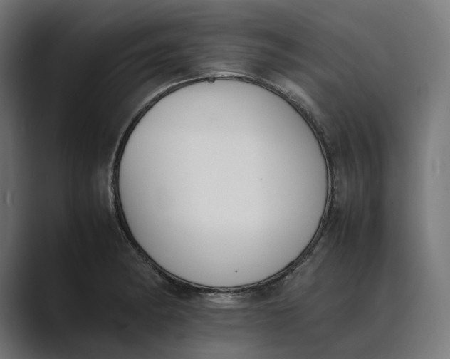 X0000089401182200706291402