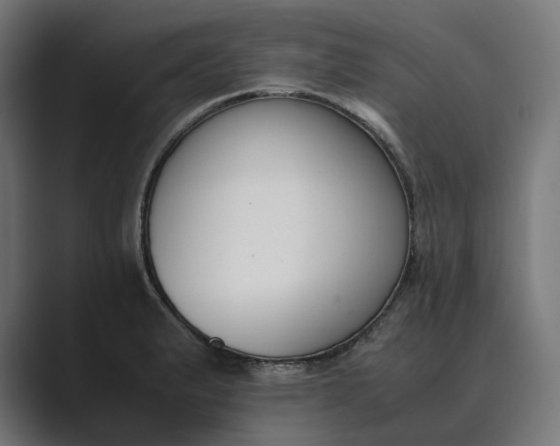 X0000089401183200706291402