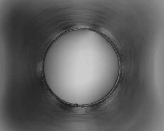 X0000089401185200706291402