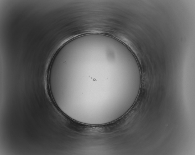 X0000089401187200706291402