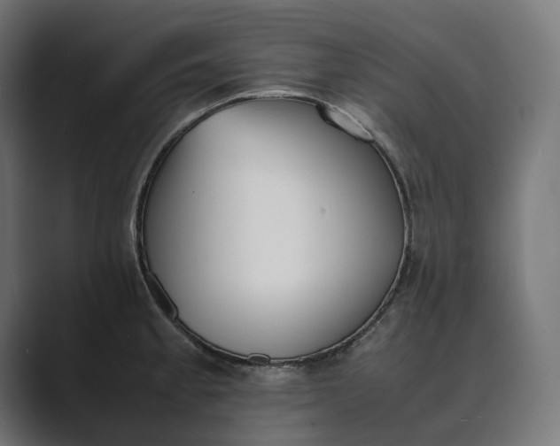 X0000089401189200706291402