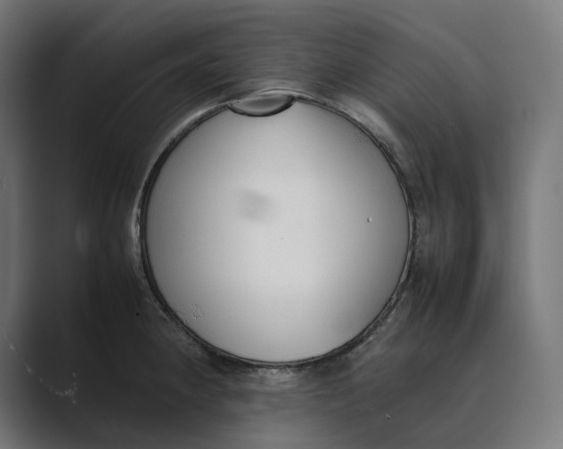 X0000089401190200706291402