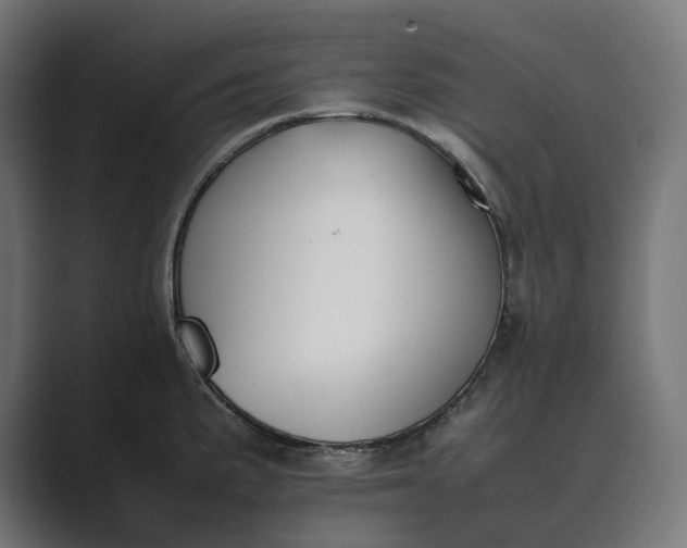 X0000089401191200706291402