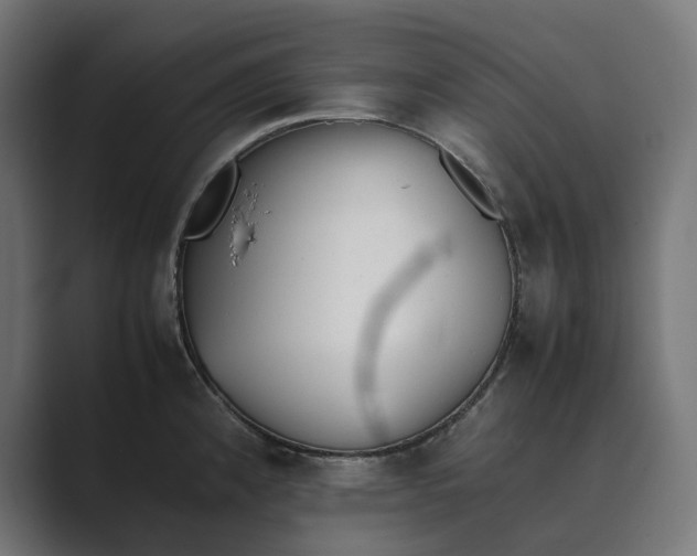 X0000089401192200706291401