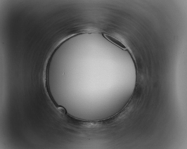 X0000089401195200706291401