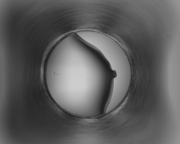 X0000089401196200706291401