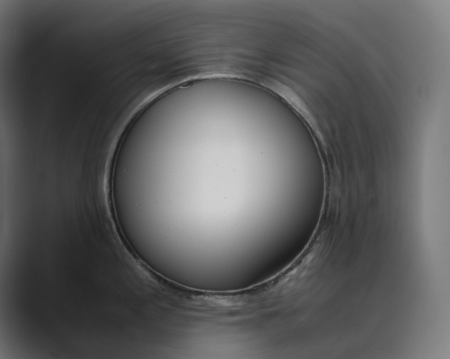 X0000089401197200706291401