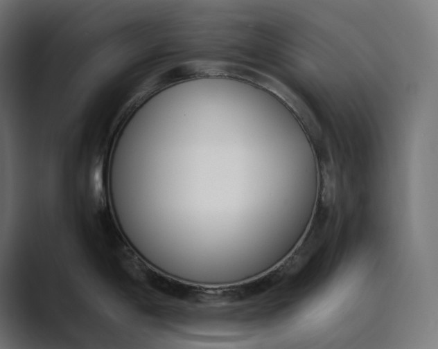 X0000089401198200706291401