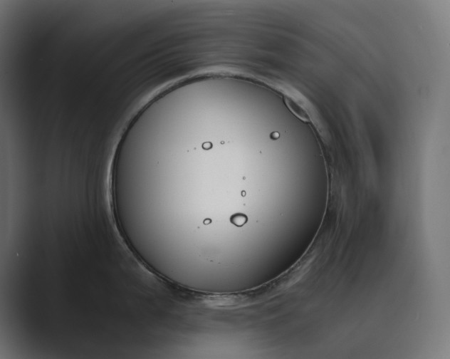 X0000089401199200706291401