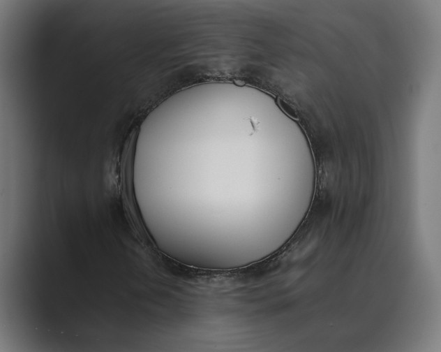 X0000089401202200706291401