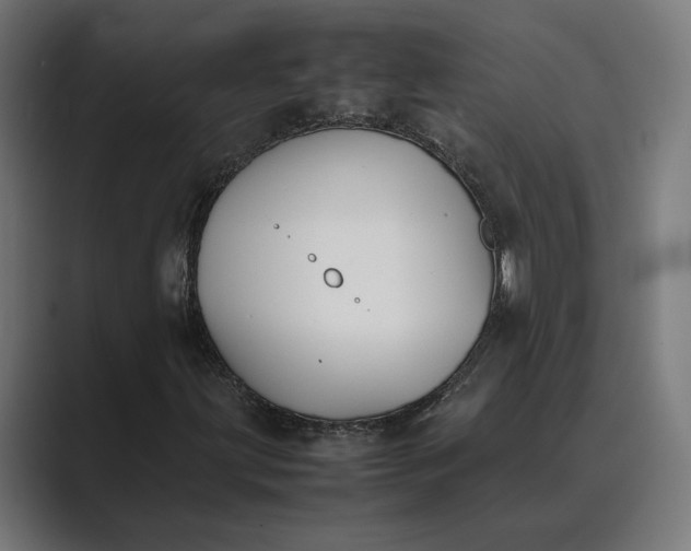 X0000089401203200706291401