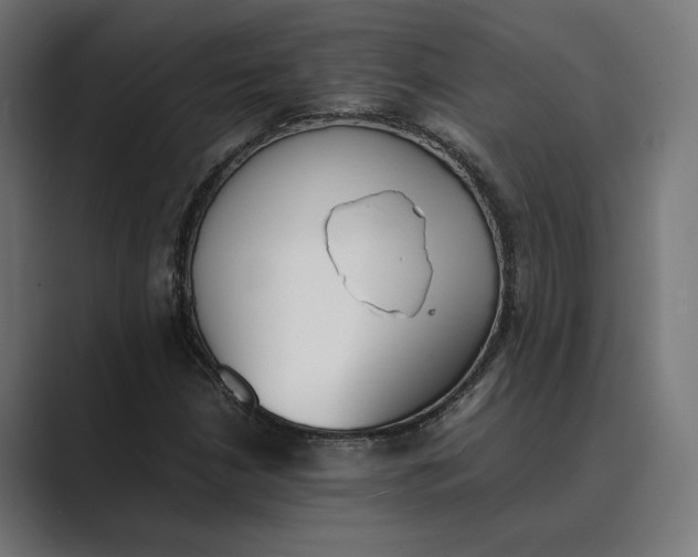 X0000089401210200706291401