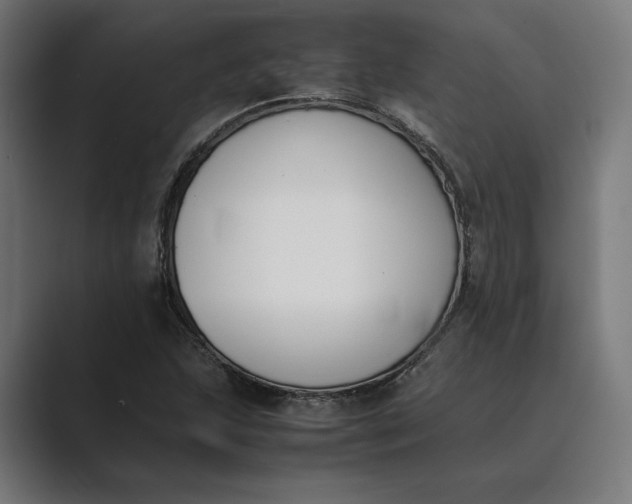 X0000089401215200706291401