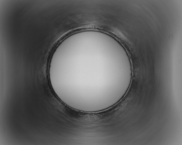 X0000089401216200706291401