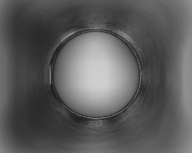 X0000089401223200706291401