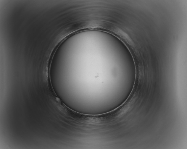 X0000089401226200706291401