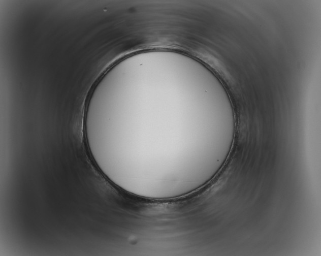 X0000089401228200706291401