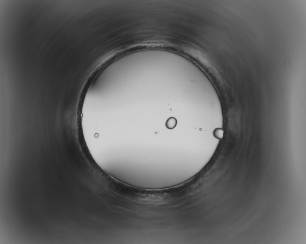 X0000089401229200706291401