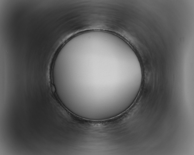 X0000089401230200706291401