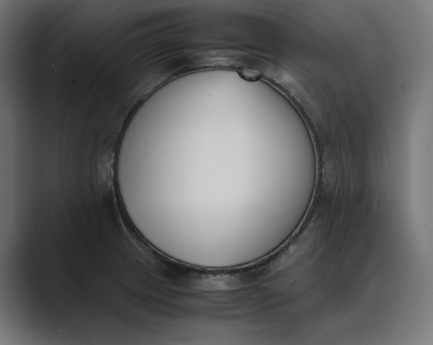 X0000089401233200706291401