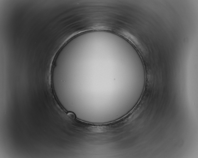 X0000089401236200706291401