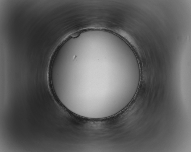 X0000089401237200706291401