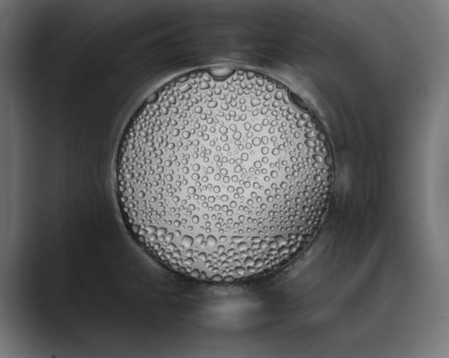 X0000089401239200706291401