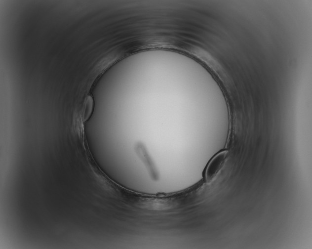 X0000089401241200706291401