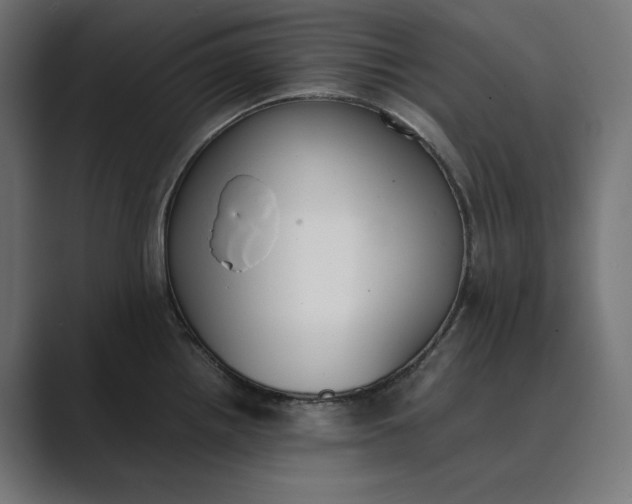 X0000089401242200706291401