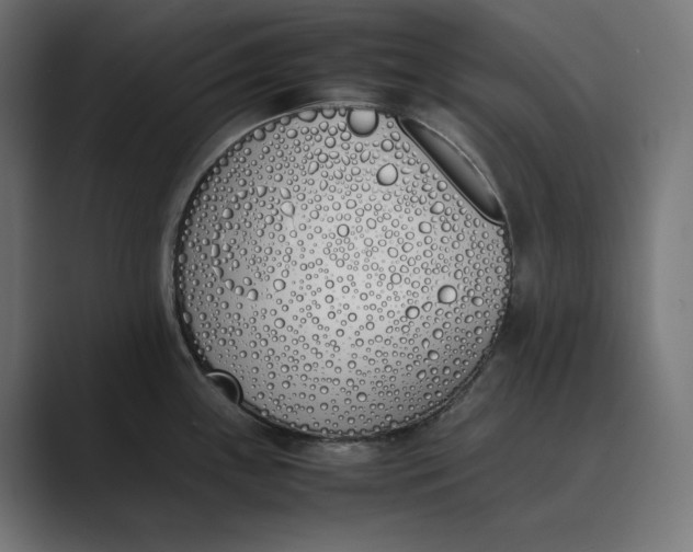 X0000089401243200706291401