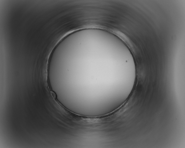 X0000089401244200706291401