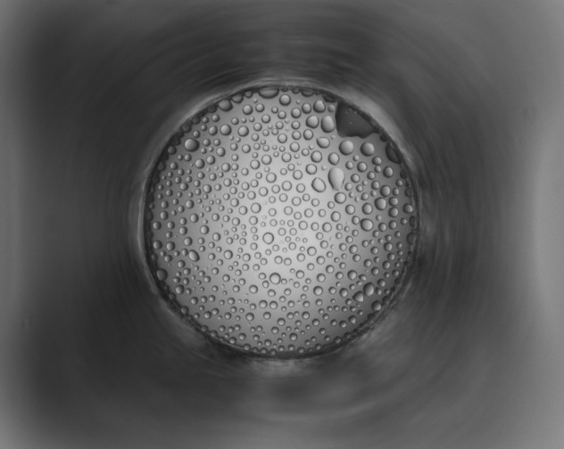 X0000089401245200706291401