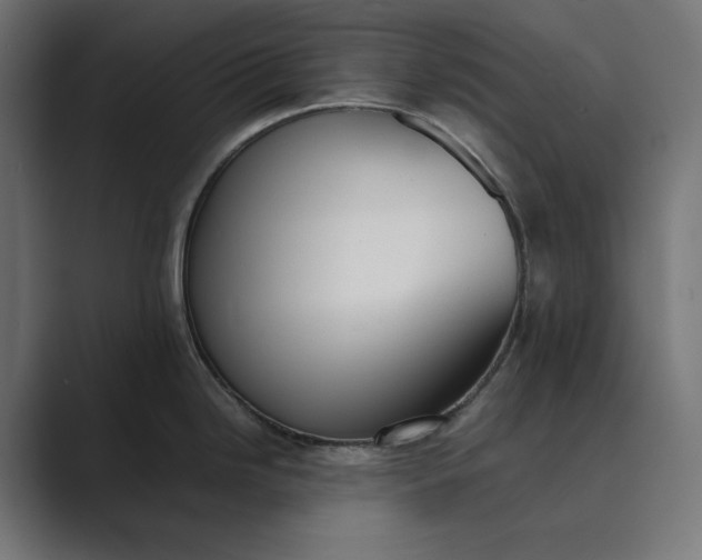 X0000089401246200706291401