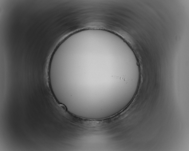 X0000089401248200706291401