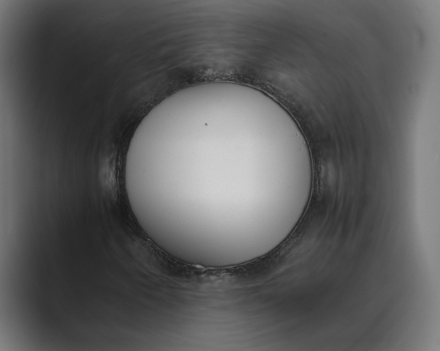 X0000089401250200706291401