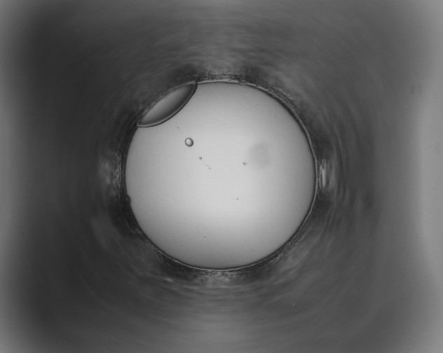 X0000089401251200706291401