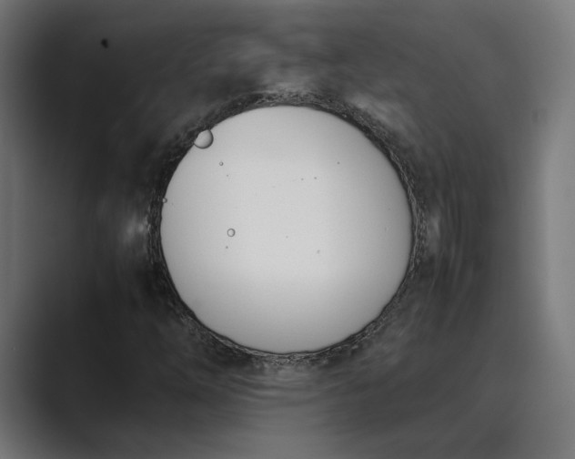 X0000089401254200706291401