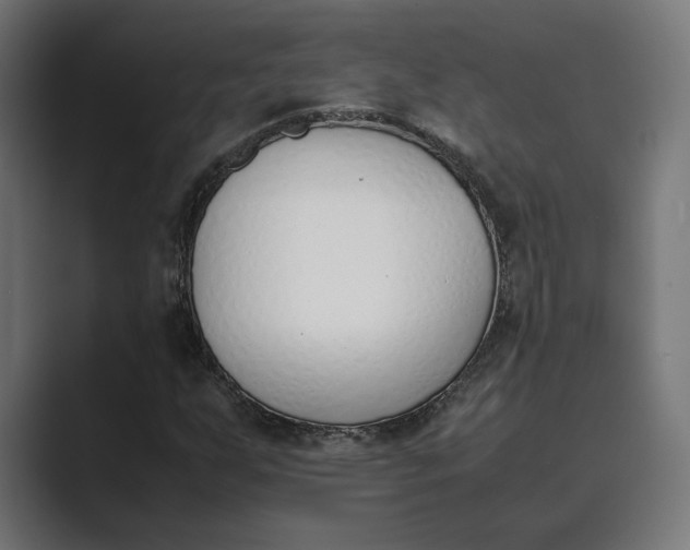 X0000089401255200706291401