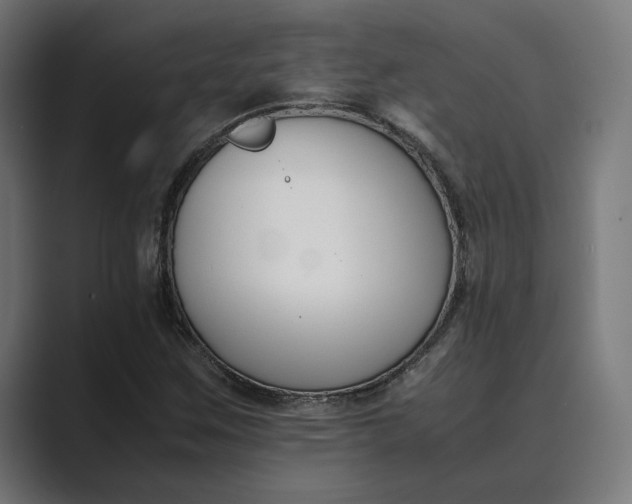 X0000089401259200706291401