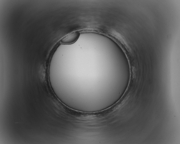 X0000089401260200706291401