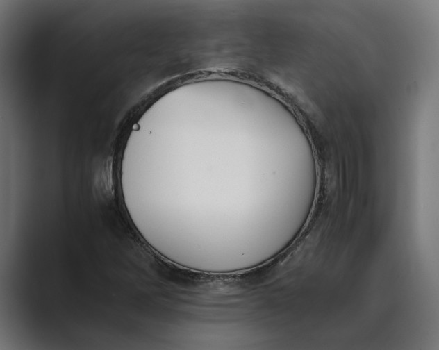 X0000089401262200706291401