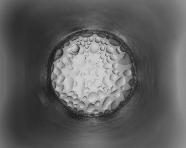 X0000089401263200706291401