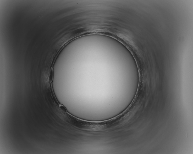 X0000089401273200706291401