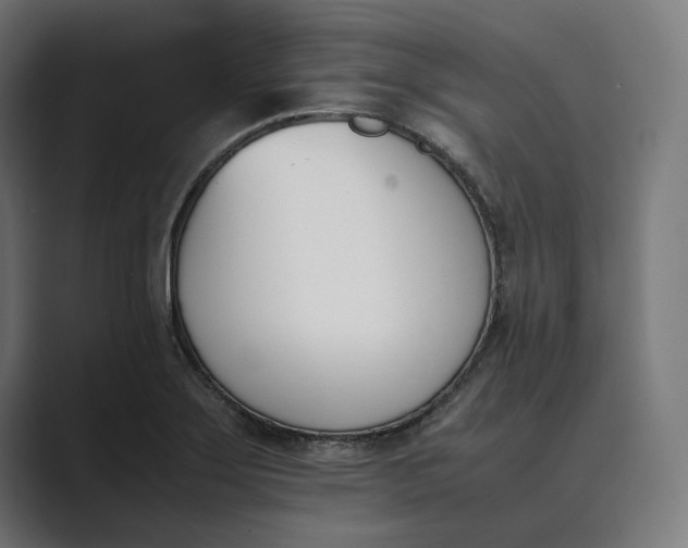 X0000089401275200706291401