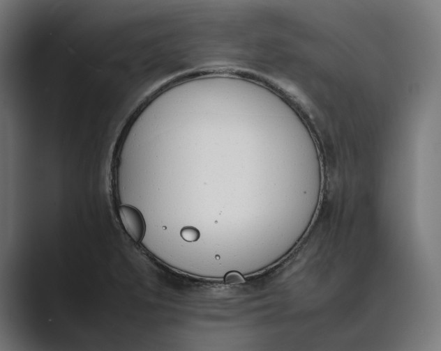 X0000089401279200706291400