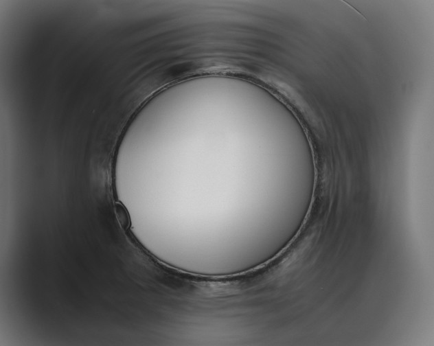 X0000089401281200706291400